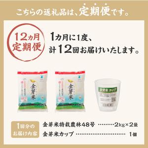 ふるさと納税  金芽米特別栽培米農林48号2kg×2 山梨県北杜市