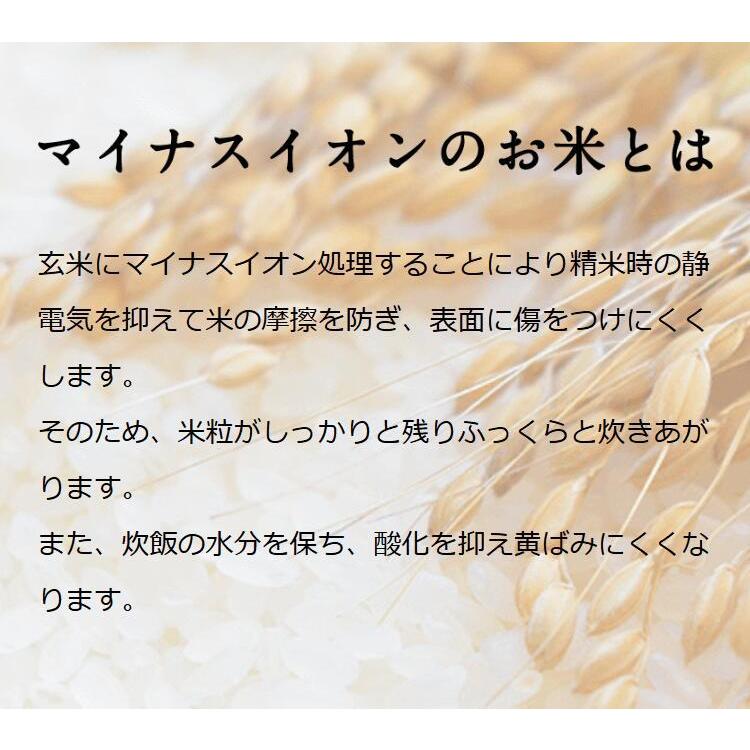 お米 ギフト 玄米 5kg 赤丸こしひかり玄米 富山県産 コシヒカリ 5キロ 令和5年産 新米 食品 入学内祝い 引っ越し 挨拶 名入れ プレゼント