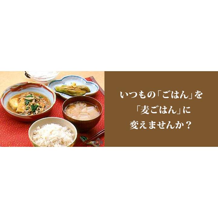 国産 押麦 業務用 5kg 8個セット 健康 腸活 免疫 ダイエット 押し麦 食物繊維 米と炊飯 スープ）麦飯 麦ご飯 麦 大麦ご飯 押し麦5kg 家康 お得 セット