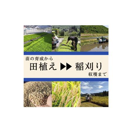 ふるさと納税 ブランド米 魚沼産コシヒカリ 新潟県魚沼市