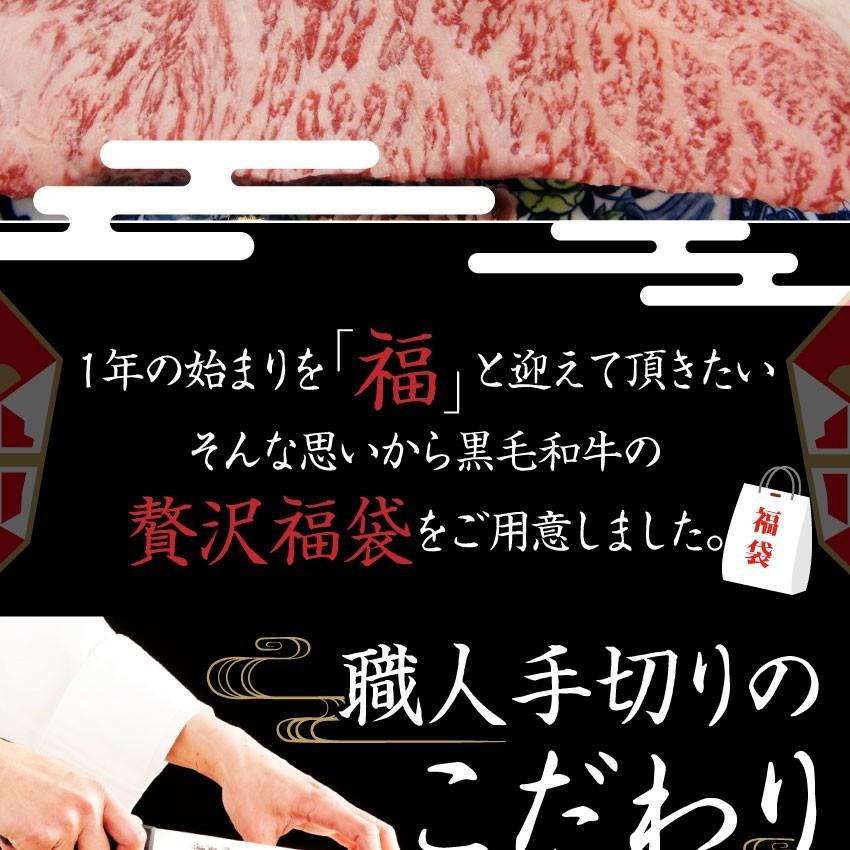 牛肉 肉 特松 福袋 黒毛和牛 A4 A5等級のみ使用 1.6kg 凍眠 テクニカン 肉の福袋 3種 超豪華福袋セット お歳暮 ギフト 食品 お祝い