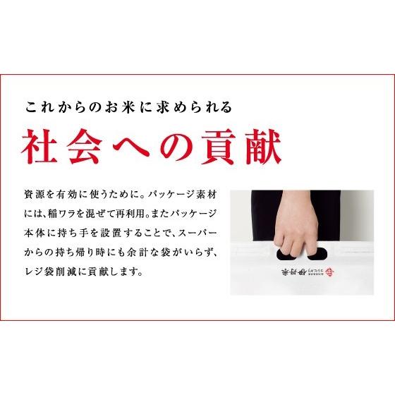 新米 コシヒカリ 石川県産こしひかり 10kg(5kg×2袋) 送料無料 令和5年産 石川コシヒカリ 伊丹米 精米 ギフト 内祝い  お歳暮 熨斗承ります