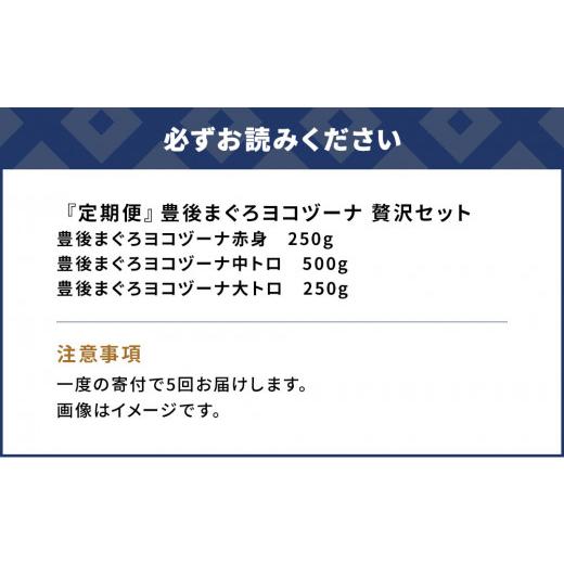 ふるさと納税 大分県 津久見市 豊後まぐろヨコヅーナ贅沢セット全5回 赤身250g 中トロ500g 大トロ250g入りの豪華セット マグロ まぐろ 鮪 刺身 …