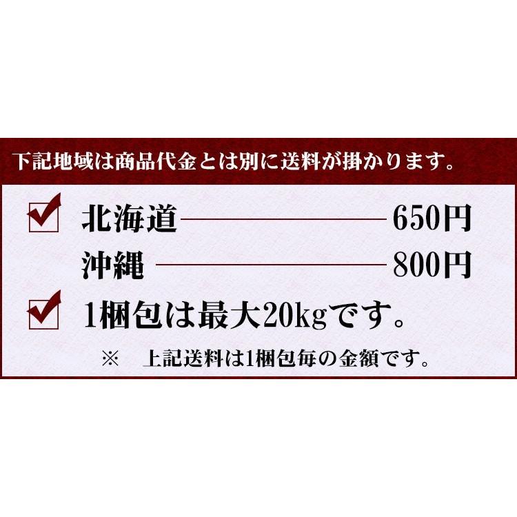 新米 お米 10kg 白米 送料無料 ななつぼし 5kg×2袋 北海道産 令和5年産 1等米 あす着く食品 北海道・沖縄は追加送料