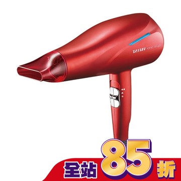 達新牌銀離子抗菌負離子吹風機TS-2969