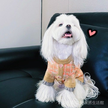 新款狗狗衣服韓版紫色毛衣約克夏比熊雪納瑞貓咪格子襯衫秋冬衣服