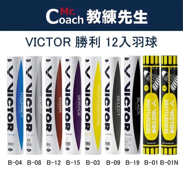 【教練先生】VICTOR 勝利 天鵝級羽球 鵝毛 鴨毛 銀箭級 專業級 精選級 練習級 羽毛球 羽球 12入 SWAN