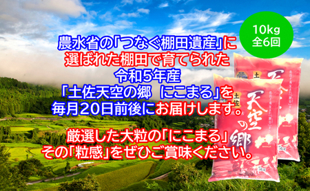 ★令和5年産★2010年・2016年 お米日本一コンテスト inしずおか 特別最高金賞受賞 棚田米 土佐天空の郷 にこまる 10kg 定期便 毎月お届け 全6回