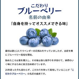 ふるさと納税 冷凍こだわりブルーベリー　500g×2 千葉県千葉市