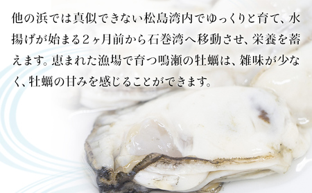 宮城県 奥松島産 鳴瀬かき 生食用 600g2023年11月頃配送開始予定 牡蠣 かき カキ 生かき むき身