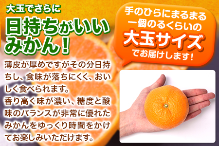 みかん 訳あり 大玉 ミカン 10kg 10キロ 熊本 ちょっと 訳あり 傷 5L～3Lサイズ 約10kg たっぷり 熊本県産 熊本県 期間限定 フルーツ 旬 柑橘 ご家庭用 長洲町 大粒《2024年1月中旬-2月末頃より出荷予定》---fn_notbmikan3_bc1_23_8500_10kg---