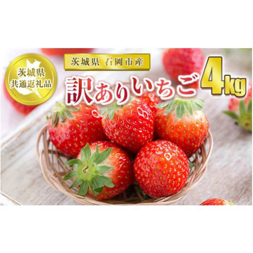 ふるさと納税 茨城県 守谷市 訳ありいちご 4kg※2023年12月上旬〜2024年4月下旬頃に順次発送予定