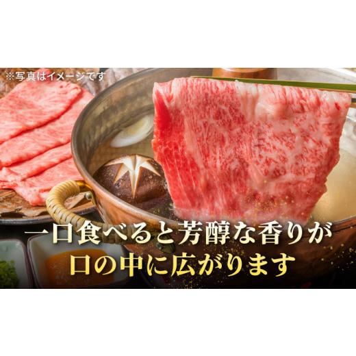 ふるさと納税 長崎県 壱岐市  特選 壱岐牛 モモ （ すき焼き ／ しゃぶしゃぶ ） 500g 《壱岐市》 肉 牛肉 和牛 黒毛和牛 鍋 赤…