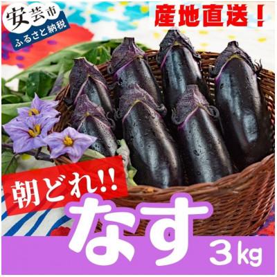 ふるさと納税 安芸市 農家直送!高知県安芸市産　朝採れナス　3kg