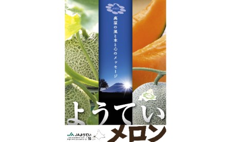 北海道 赤肉メロン 約1.6kg 2玉 メロン 赤肉 果物 フルーツ 甘い 完熟 スイーツ デザート 産直 国産 贈答品 お祝い ギフト羊蹄山 JAようてい 送料無料 北海道 倶知安町