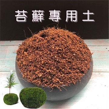 苔鑽🍀苔蘚專用土 青苔專用土 盆栽盆景營養土 酸性砂質土壤 家用種植土 通用營養土