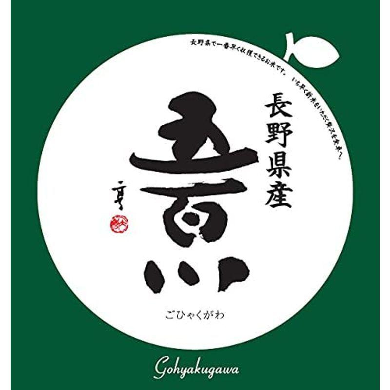 精米長野県上伊那産 白米 長野県で一番早くて旨い 五百川 10kg(長期保存包装)x1袋 令和3年産 新米