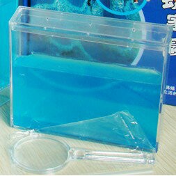 [現貨]  螞蟻工房 親近大自然的玩具 螞蟻城堡迷宮 螞蟻工坊 無螞蟻 學生禮物 孩子禮物 禮物 螞蟻日記生態教學玩具