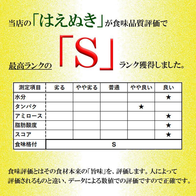 新米 米 はえぬき 白米 10kg 送料無料 安い 山形県産 令和5年産 美味しいお米 いいあん米 山形 庄内 農家直送