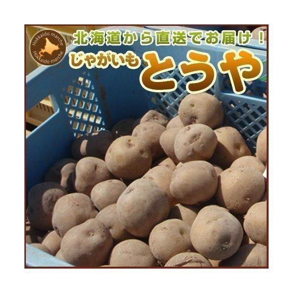 じゃがいも ジャガイモ とうや 10kg 正品・LM L 2L混 （新じゃがいも） 野菜 北海道産 お礼 御祝 産直 内祝 ジャガイモ 北海道ギフト