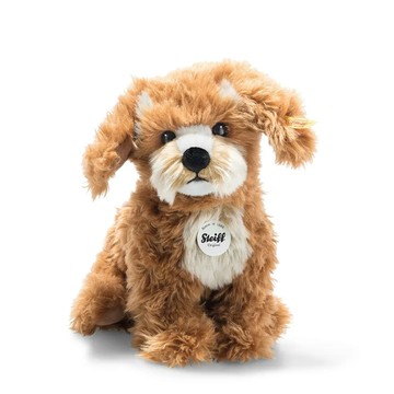 Curlie Cockapoo (Dog)