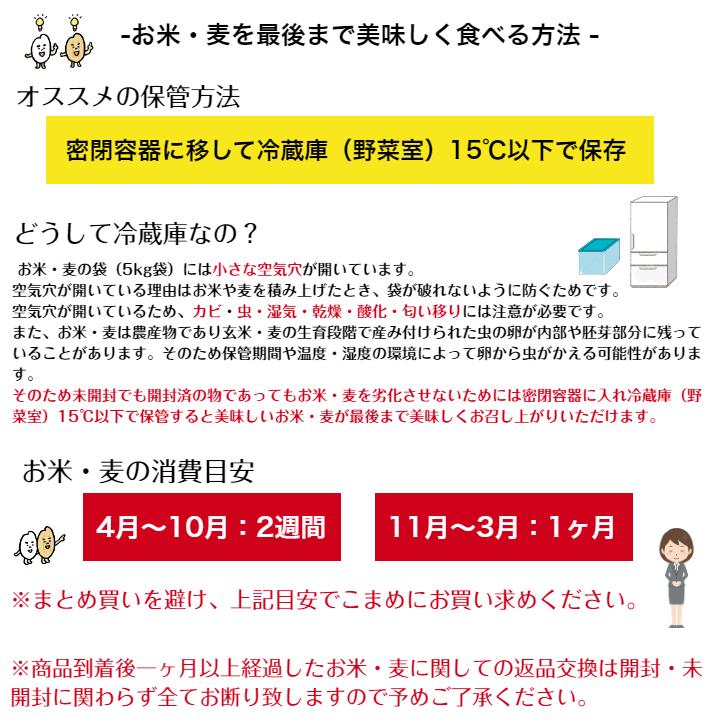 新米 お米 無洗米 10kg 送料無料 令和5年産 岡山県産あきたこまち 無洗米 5kg×2袋 白米 精米 国産※北海道・沖縄の方は別途送料加算