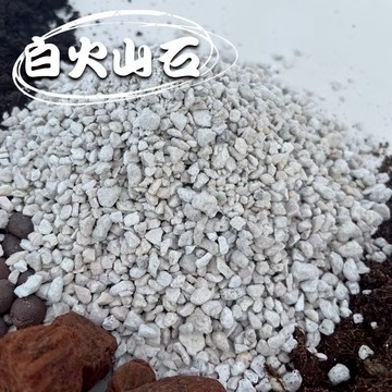 【台灣現貨-免運】白火山石 園藝介質 鋪面石 多肉觀葉鋪面石 排水層石 裝飾石 多肉土 白火 火山石 印尼 觀葉土 疏水