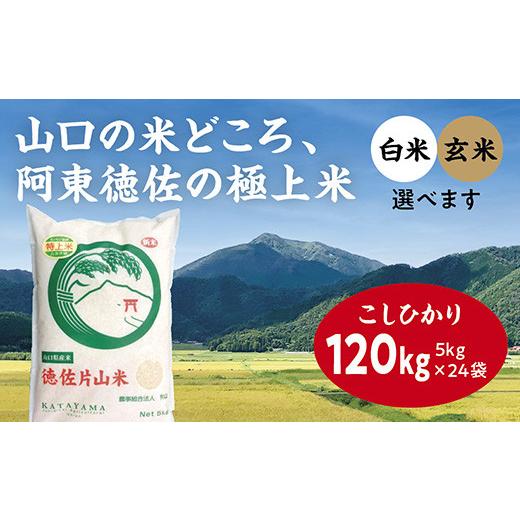 ふるさと納税 山口県 山口市 A-007 徳佐片山米こしひかり120kg