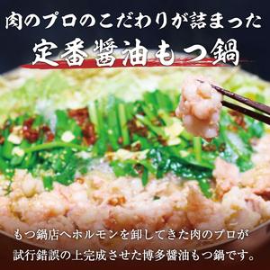 ふるさと納税 訳あり！博多醤油もつ鍋 10人前セット [a0435] 株式会社Meat Plus ※配送不可：離島添田町 ふるさと納税 福岡県添田町