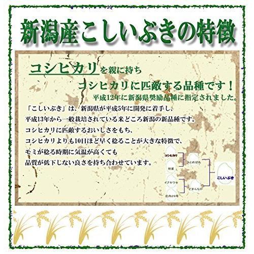 新米 精白米 25kg 令和5年産 新潟県産 こしいぶき 安心安全な特別栽培米 (5kg×5)