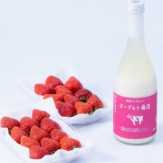 ヨーグルト梅酒720ml×あまおう 約250g×2パック《糸島》