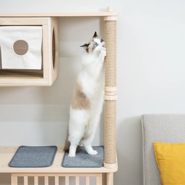 【預購】麻繩抓抓柱