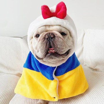法斗毛毯巴哥被子保暖狗狗蓋毯保暖睡袋寵物披肩毯子秋冬加絨衣服