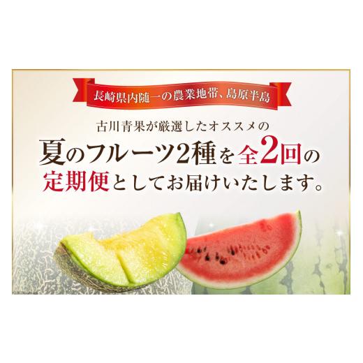 ふるさと納税 長崎県 島原市 AG131厳選！夏の人気フルーツ定期便