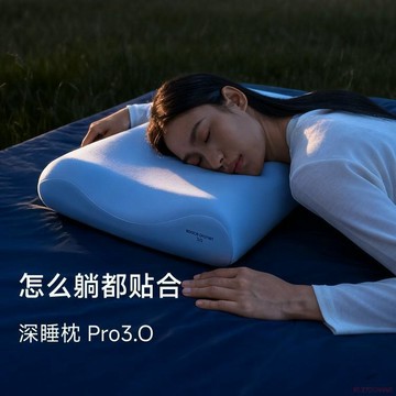桃園出貨🍂深睡枕Pro3記憶枕成人護頸枕頭護頸椎助睡眠大牌同款枕芯和枕頭套