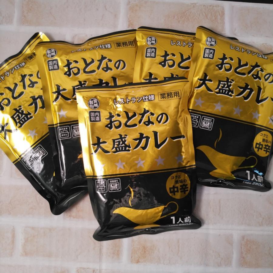 おとなの大盛りカレー レストラン仕様 中辛 250g×5袋 レトルトカレー メール便送料無料 ポイント消化 1000 食品