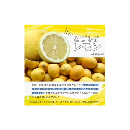 ふるさと納税 広島県 呉市 とびしまレモン0.5kgとレモン商品お試し味見セット