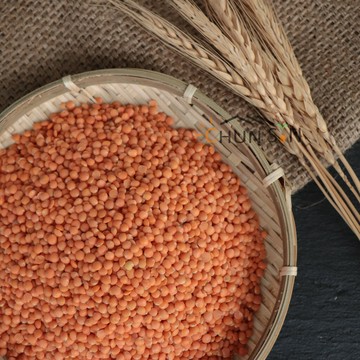 【淳歆】完整顆粒‼️紅扁豆(小) 600g (超取限重5㎏)  Red Lentils
