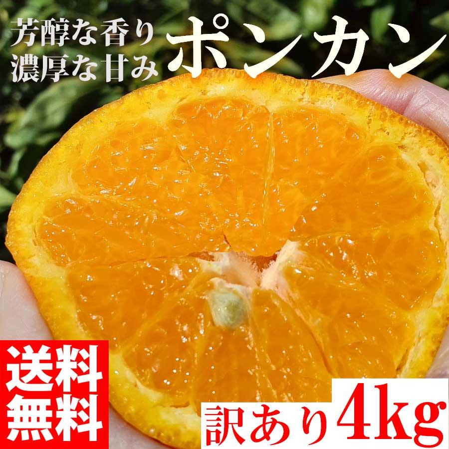  みかん ポンカン 4kg 訳あり 大特価 ブランド 和歌山県産 産直 オレンジ フルーツ 果物