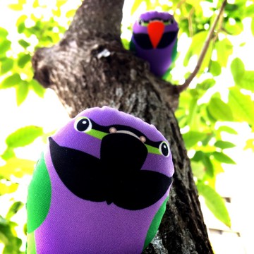 DIY手作鸚鵡 ∣ 達摩鸚鵡 Derbyan ‧ 紙鎮手作材料包