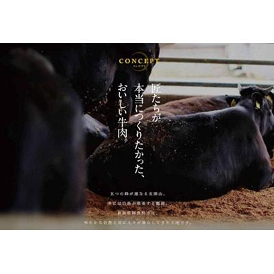 ふるさと納税 阿賀野市 あがの姫牛 肩ロースすき焼き用500g