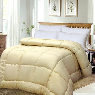 FITNESS  日本進口纖維 雙人吸溼快乾抗菌被2.8公斤