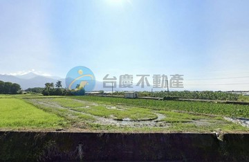 屏東高樹低總價大地坪優質農地｜屏東縣高樹鄉田庄段