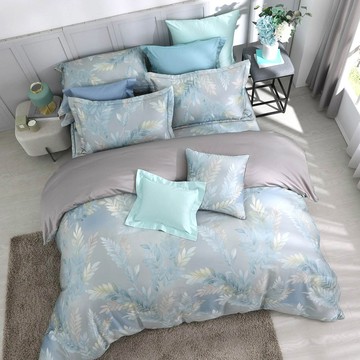 雙人薄被套加大床包組/ SUPIMA匹馬棉 / 500織 / 安布魯斯 [鴻宇] 台灣製 2297