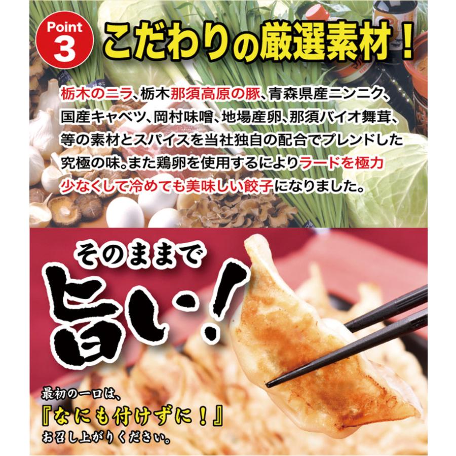 ギフト 健太餃子 シソ餃子 お肉餃子×各2パック 栃木 土産 冷凍 ぎょうざ 宇都宮餃子館