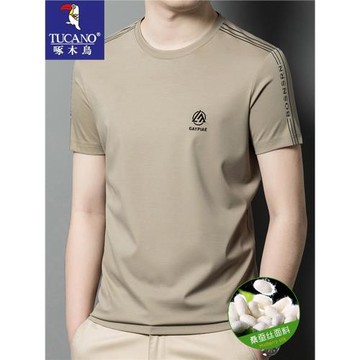 啄木鳥桑蠶絲短袖t恤男高級夏季冰絲涼感T恤男士體恤衫圓領高彈
