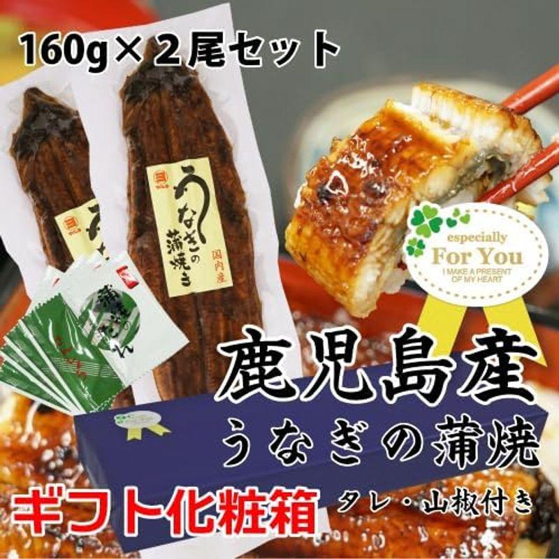 ギフト 鹿児島産 うなぎ 蒲焼 ２尾入 大サイズ（160g尾）専用化粧箱＆ラッピング済み タレ４個付 冷凍 父の日 お誕生日 お祝い 等