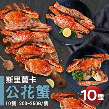 築地一番鮮-斯里蘭卡公花蟹10隻(200-250g/隻)