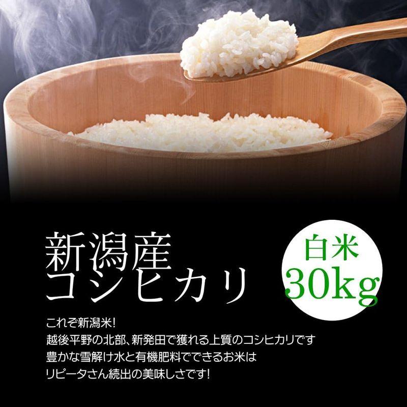 新潟米 コシヒカリ 白米 30kg（10kg×3袋） 令和4年産アスリートフードマイスターが選ぶお米