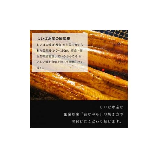 ふるさと納税 和歌山県 湯浅町 BC6005_うなぎ蒲焼 4本  角長特製 蒲焼タレ2本 セット※到着希望日（時期）・ご不在日等のご指定不可